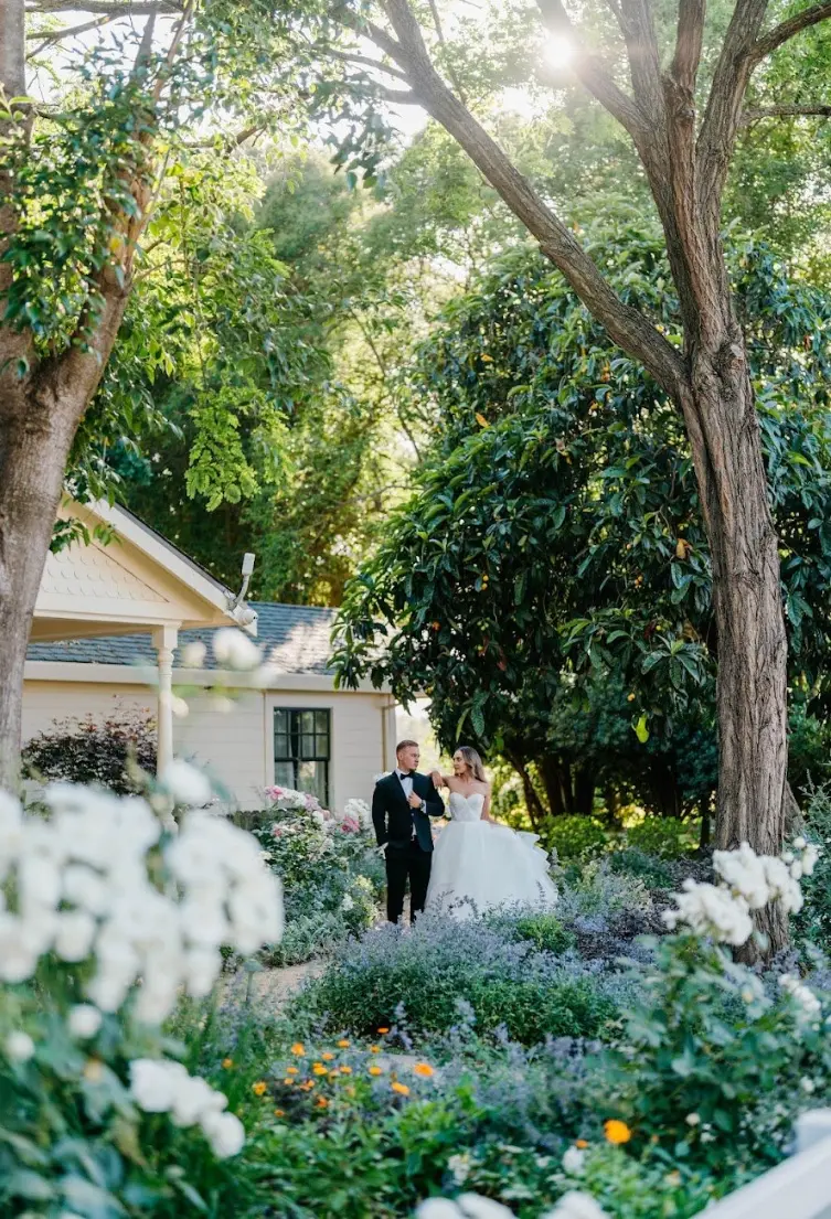 photos of lamoure vineyards