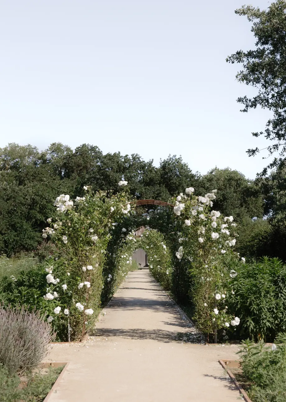 lamoure vineyards in elk grove ca