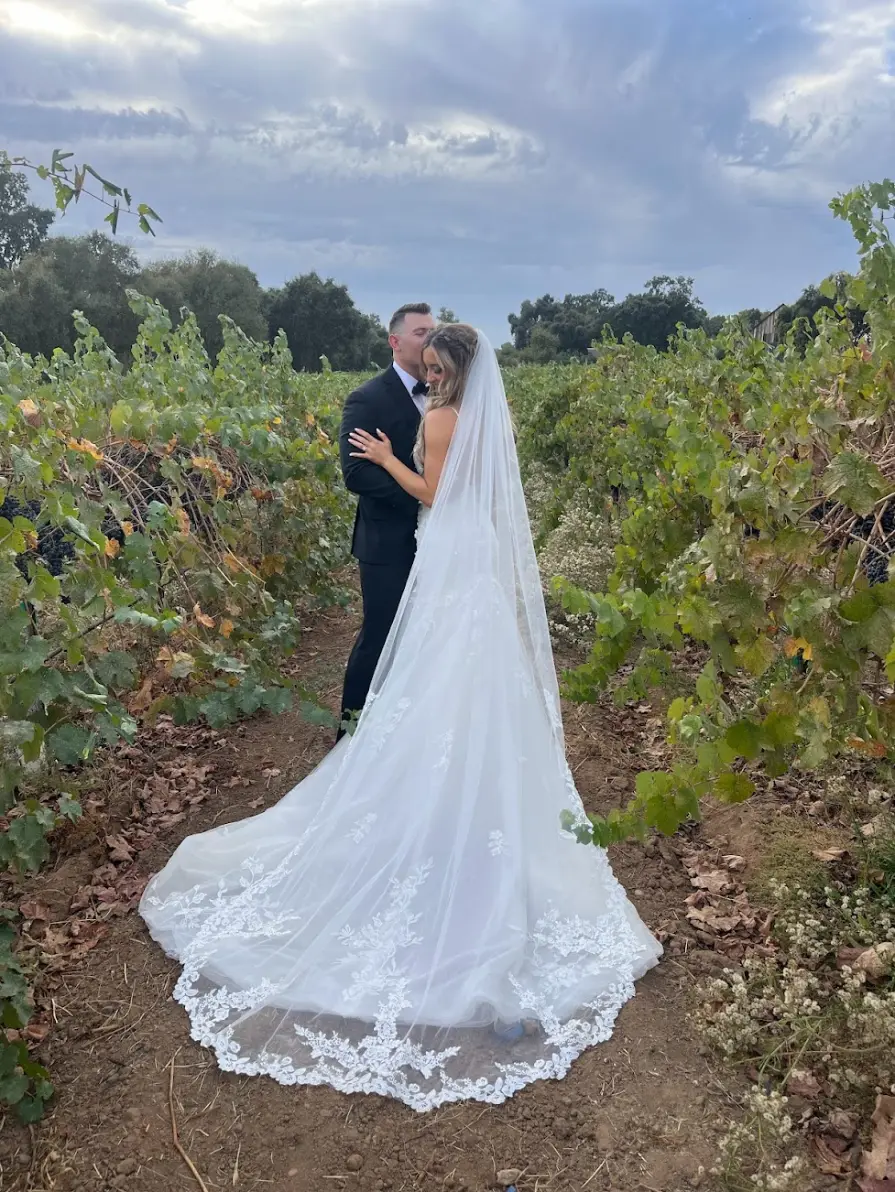 128 lamoure vineyards in elk grove- ca lamoure vineyards in elk grove ca