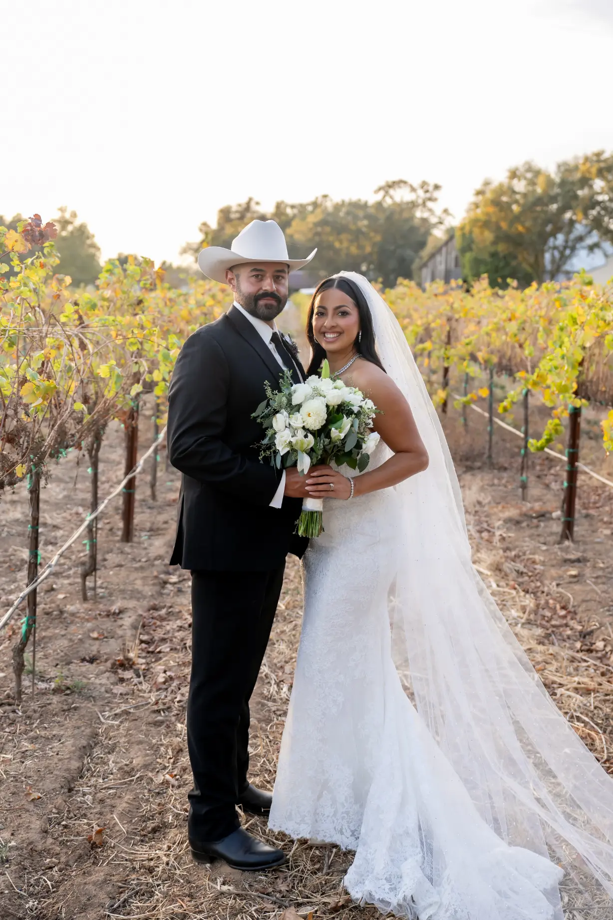 lamoure vineyards in elk grove ca