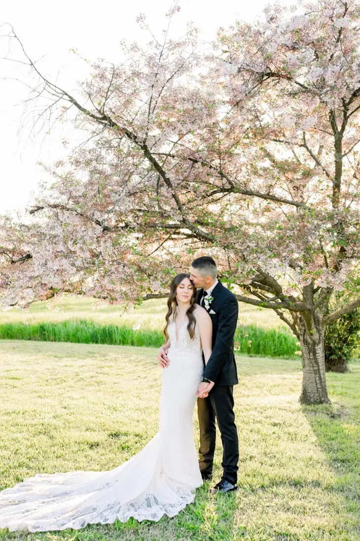 lamoure vineyards in elk grove ca