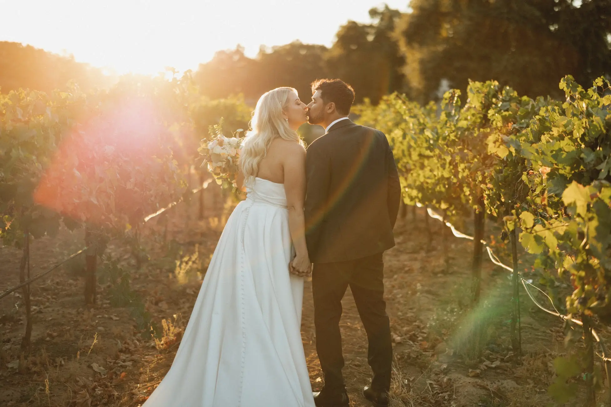lamoure vineyards in elk grove ca | northern california vineyard wedding venues