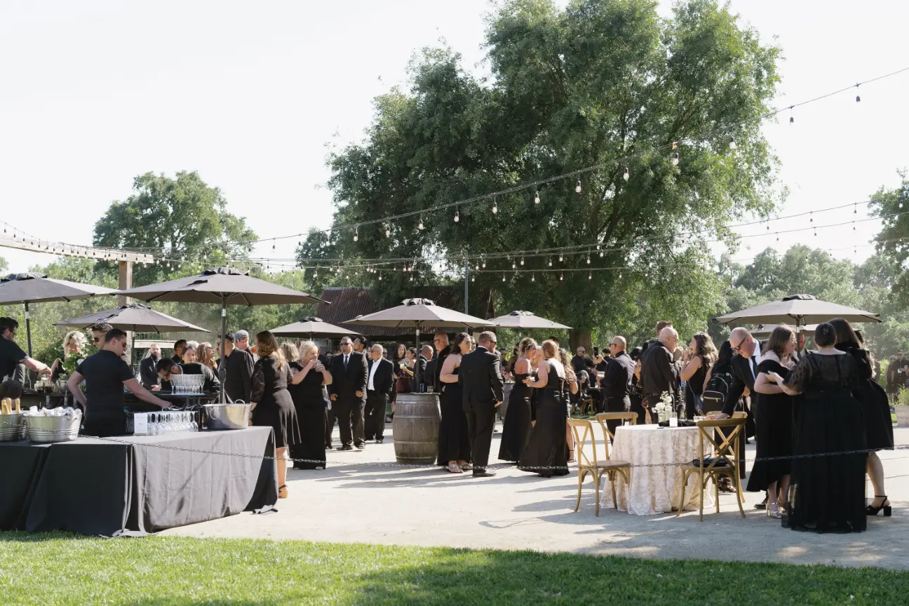 197 lamoure vineyards in elk grove- ca lamoure vineyards in elk grove ca