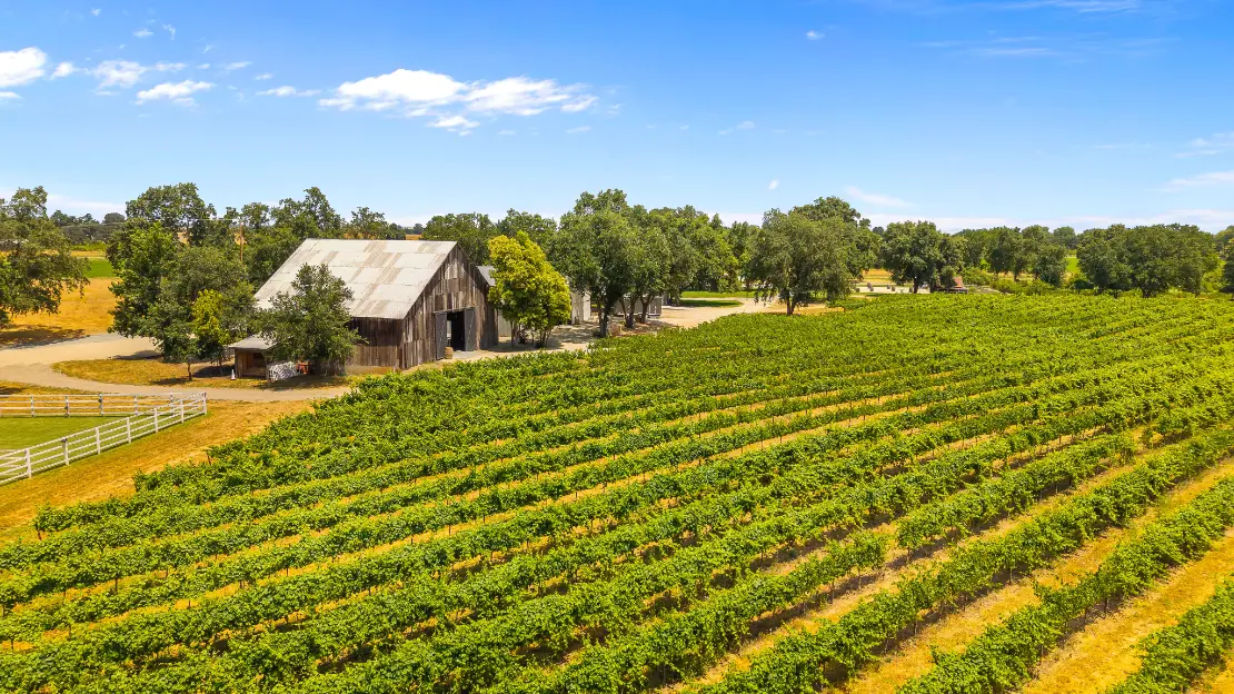 lamoure vineyards sacramento wedding venue