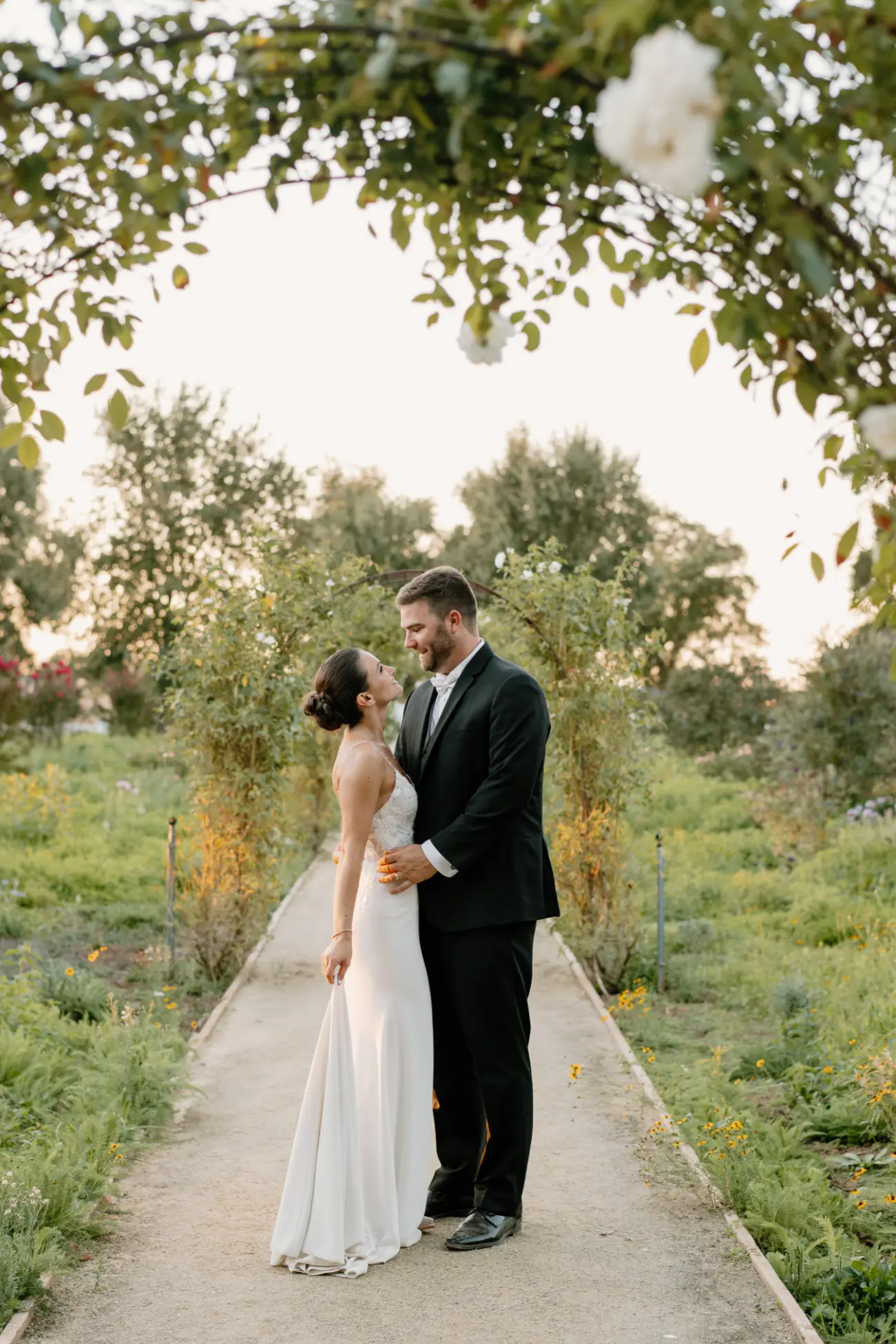 lamoure vineyards in elk grove ca