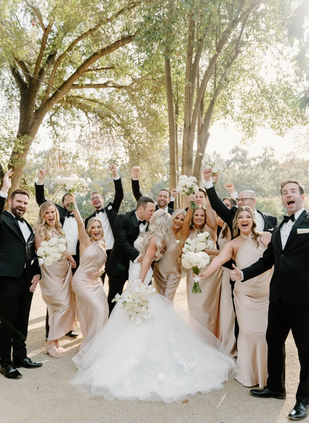 photos of lamoure vineyards