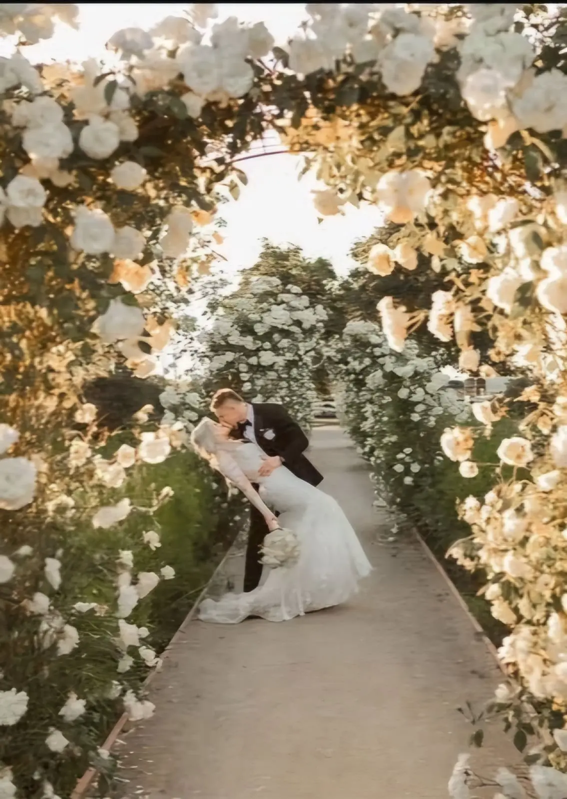 62 photos of lamoure vineyards photos of lamoure vineyards