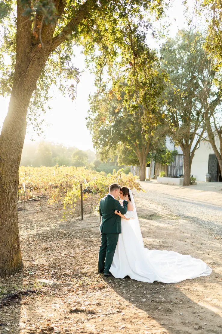 88 photos of lamoure vineyards photos of lamoure vineyards