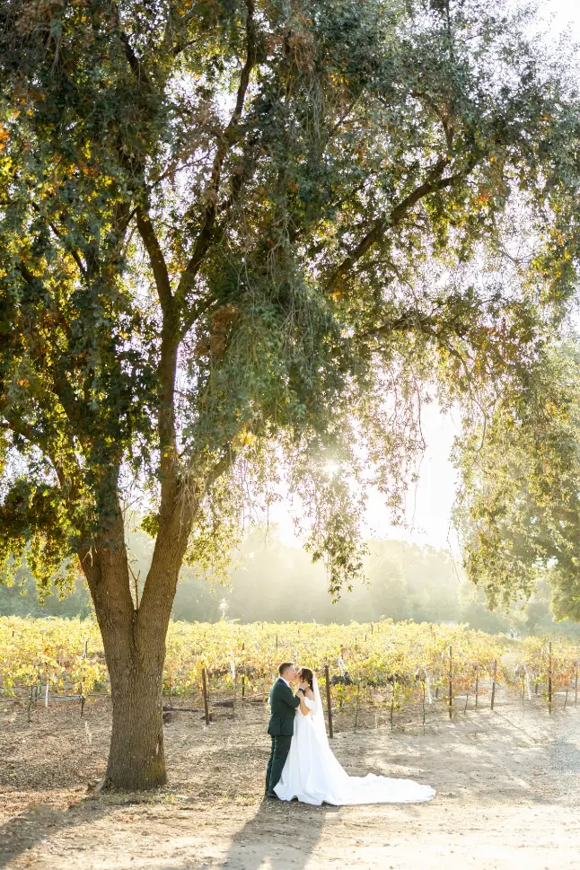 photos of lamoure vineyards