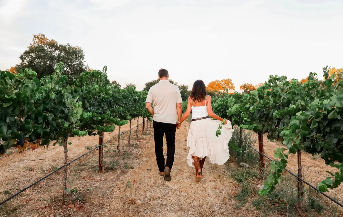 Lamoure Vineyards Photo Shoot Vineyard